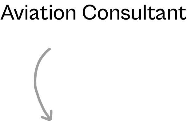 Aviation consultant