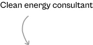 Clean energy consultant
