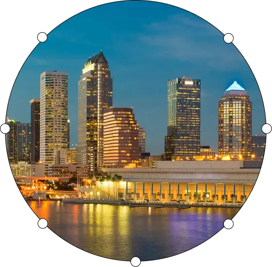 Tampa city skyline